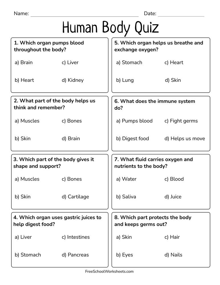 Free Printable Human Body Quiz Worksheet for First Graders