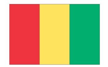free printable guinea flag