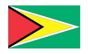 free printable guyana flag