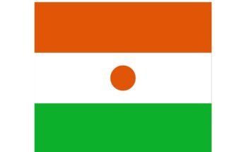 free printable niger flag